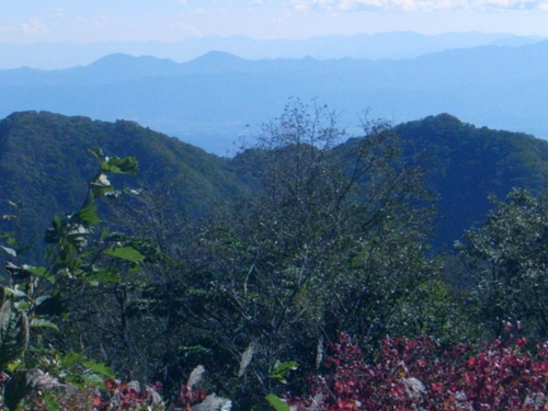 d0075899_22105228.jpg