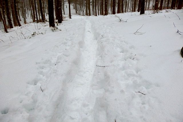 e0137200_16464331.jpg