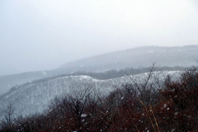 e0137200_16483754.jpg