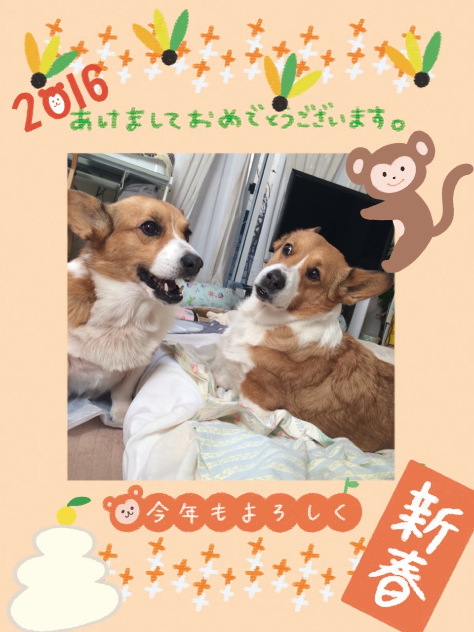 2016年の初めに。_b0122401_16524660.jpeg