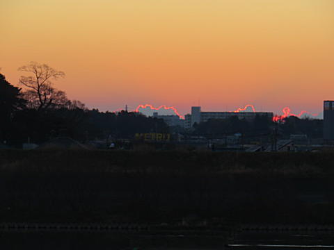 d0046702_1602832.jpg