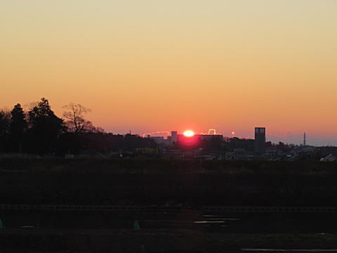 d0046702_1605016.jpg