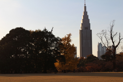 新宿御苑の晴れた日に、_b0327006_22385007.jpg