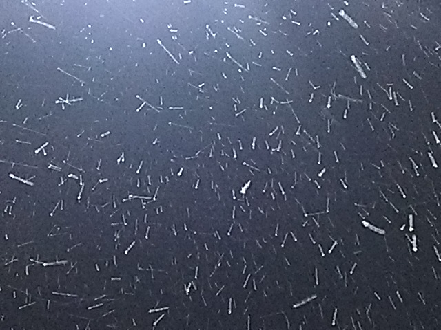 d0148408_10394819.jpg