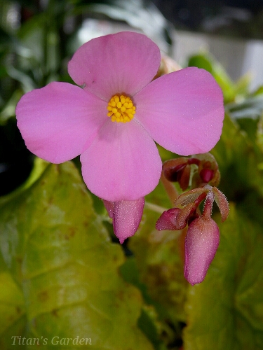 b0099813_9214750.jpg