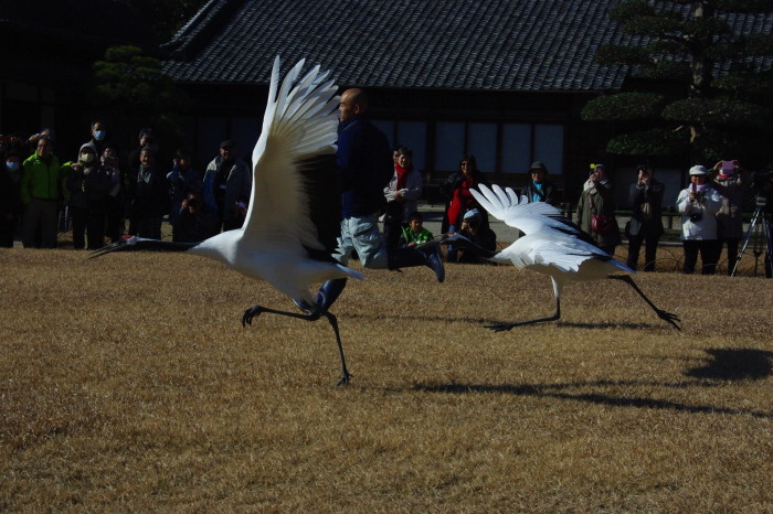 d0341514_23241867.jpg
