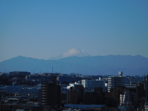 初詣 (芝 増上寺 / 目黒五百羅漢寺 ほか)_e0345320_22452766.jpg
