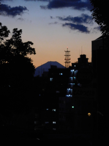 初詣 (芝 増上寺 / 目黒五百羅漢寺 ほか)_e0345320_23261695.jpg