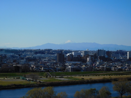 初詣 (芝 増上寺 / 目黒五百羅漢寺 ほか)_e0345320_23284910.jpg