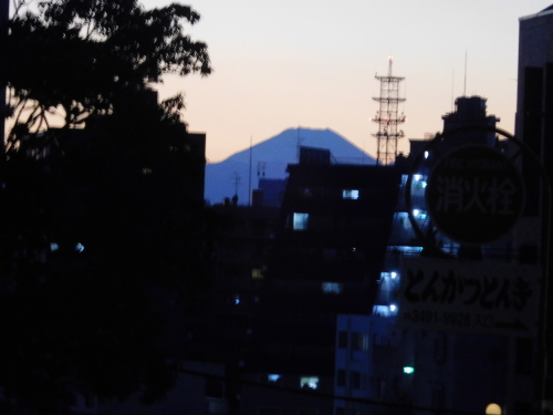 初詣 (芝 増上寺 / 目黒五百羅漢寺 ほか)_e0345320_23290619.jpg