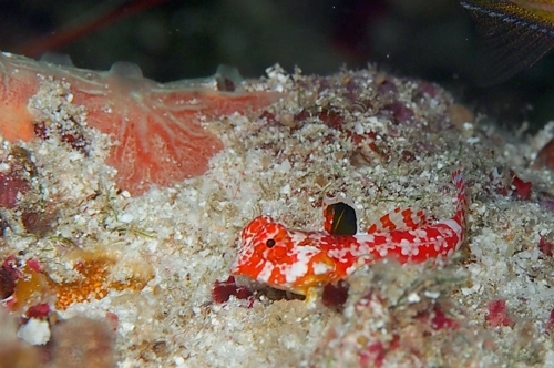 b0158923_20355573.jpg