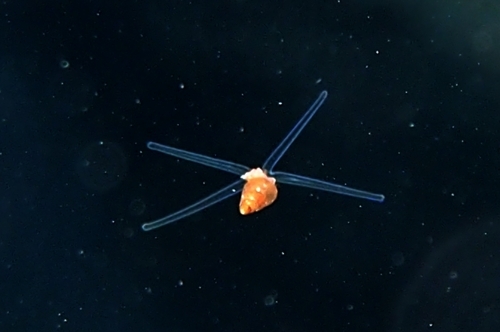 b0158923_20360286.jpg