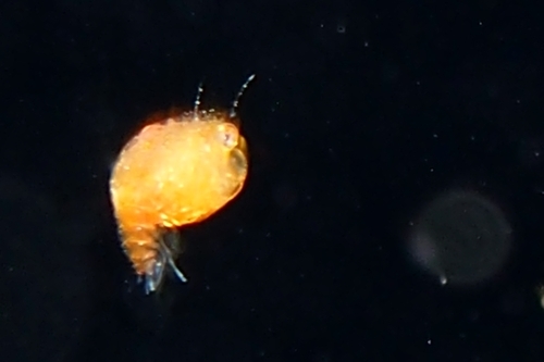 b0158923_20361604.jpg