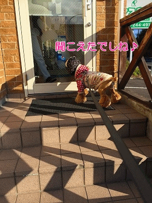 f0326925_12573053.gif
