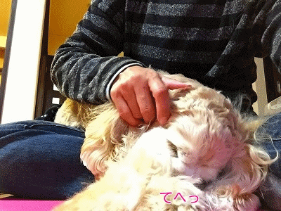 f0326925_15030982.gif