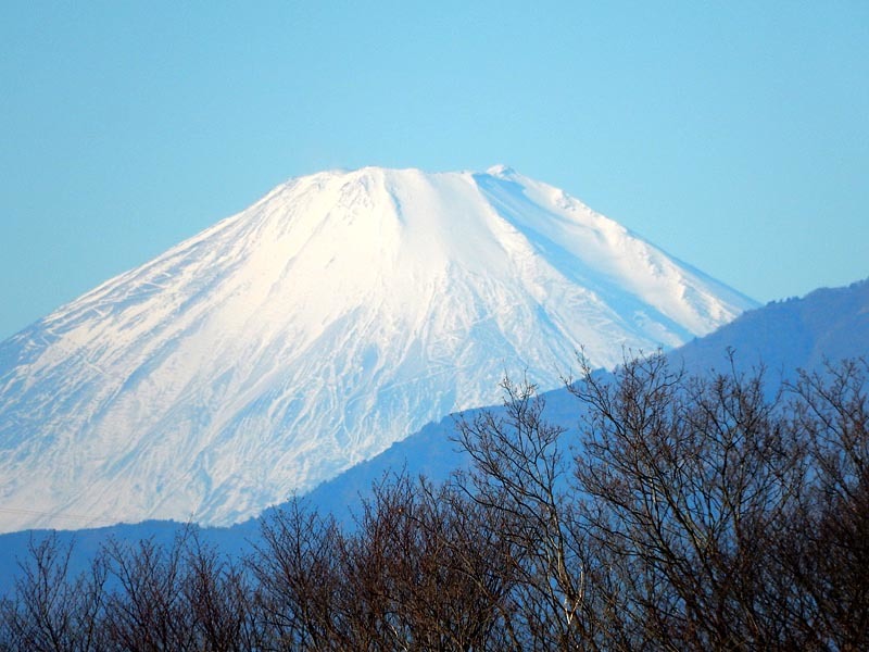 2016 富士山初撮り_e0349629_09445116.jpg