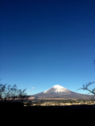 年始のご挨拶_a0246432_07473538.jpg