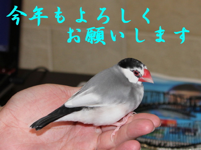 c0365734_21325380.jpg