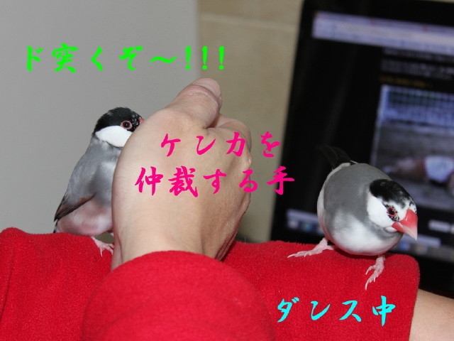 c0365734_21325556.jpg
