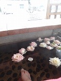 f0167635_152181.jpg