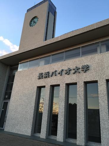 b0323340_22112501.jpg