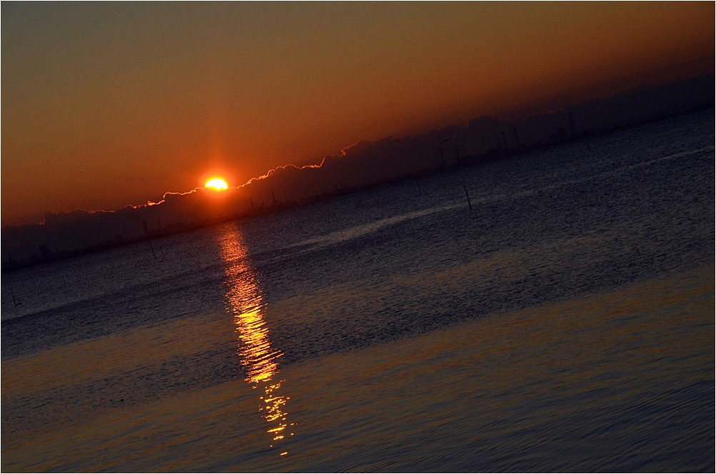 c0095342_8164880.jpg