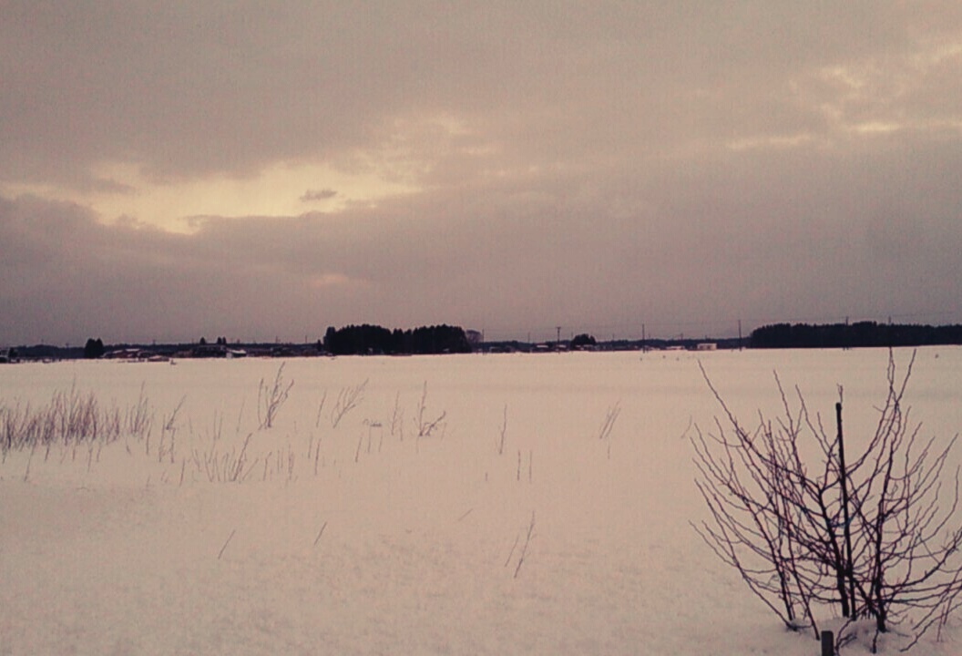 a0326649_12203397.jpg