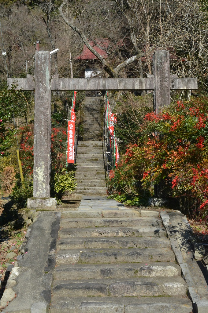 a0055650_21494644.jpg