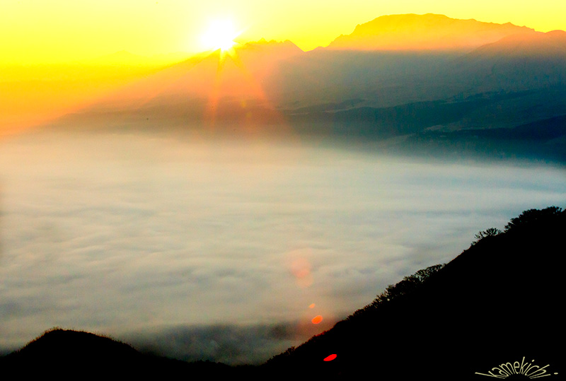 a0057752_10421842.jpg