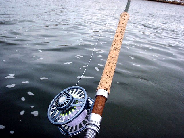 c0097652_16532910.jpg