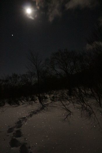 厳冬の升沢小屋、星と早朝の蛇ケ岳_c0294658_09054069.jpg