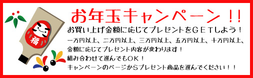 お年玉キャンペーン！開催中！！_f0023258_23295585.jpg