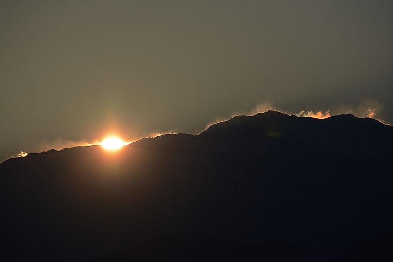 新しい朝が来た。希望の朝だ。 木の気持