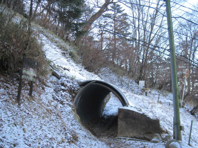 c0219866_17982.jpg