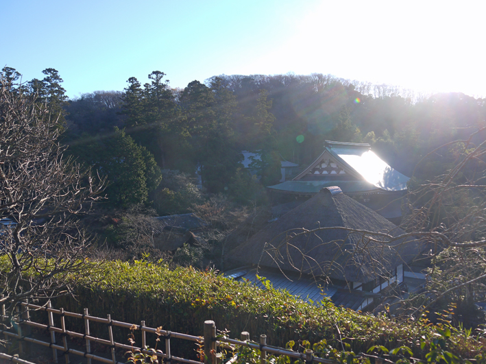 六国見山で初日を拝み、円覚寺を参拝：2016年元旦_c0014967_1045833.jpg