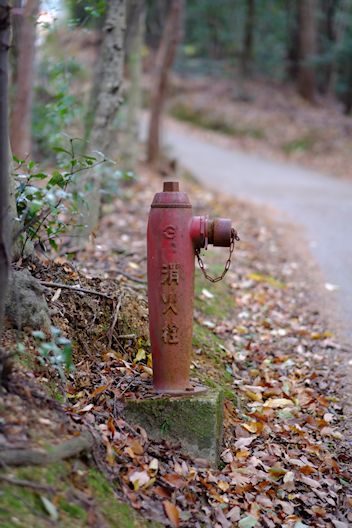 東福寺（とうふくじ）散歩写真_c0191967_1774546.jpg