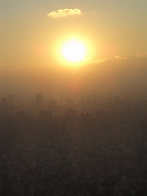 a0188771_1862362.jpg