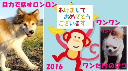 2016おめでとう！_c0025171_148177.png