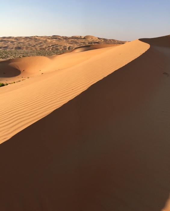 Desert Walk＆ Camel Trek at Liwa Desert（Rub\' al Khali） - QASR AL SARAB Area Excursions_d0348772_15314778.jpg