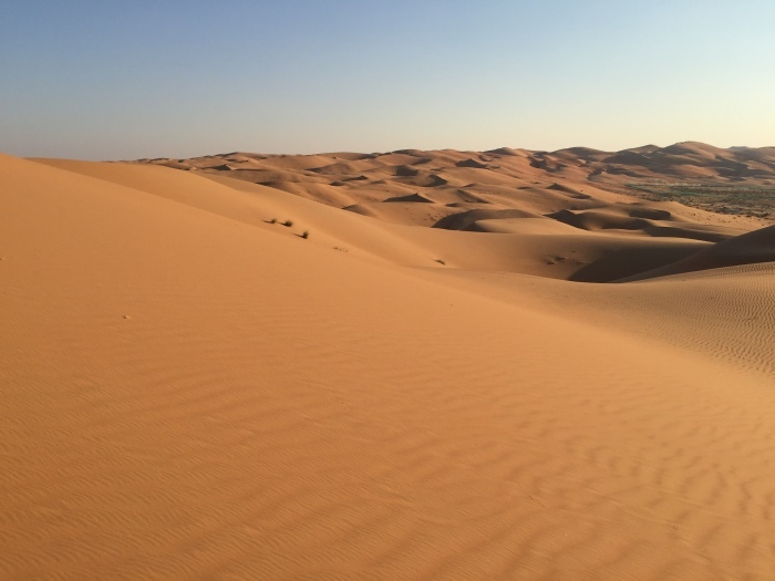 Desert Walk＆ Camel Trek at Liwa Desert（Rub\' al Khali） - QASR AL SARAB Area Excursions_d0348772_15335565.jpg