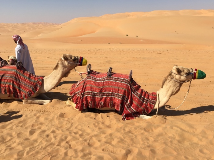 Desert Walk＆ Camel Trek at Liwa Desert（Rub\' al Khali） - QASR AL SARAB Area Excursions_d0348772_15525121.jpg