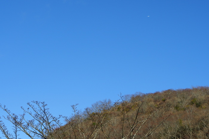 e0307372_16454008.jpg