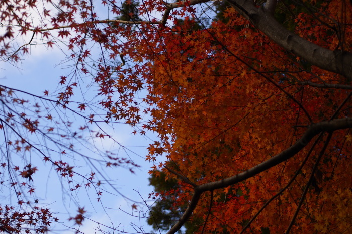 e0307372_17062270.jpg
