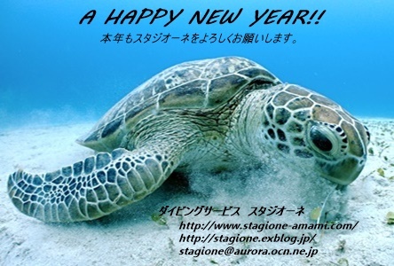 「明けましておめでとうございます！」_b0033573_11370385.jpg