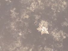 b0128173_945432.jpg
