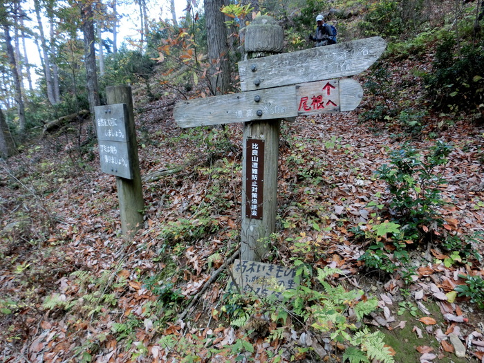 b0185573_19213120.jpg