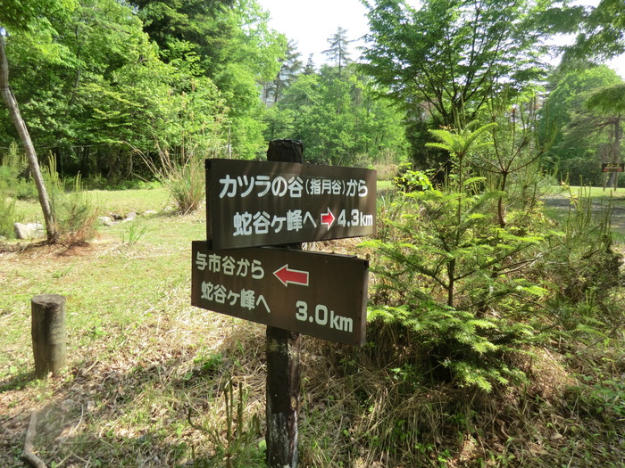 b0185573_19363529.jpg