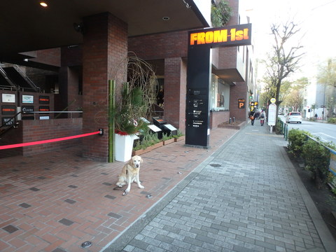 f0052277_10212689.jpg