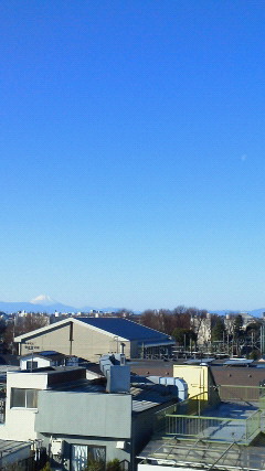 b0001280_10221714.jpg