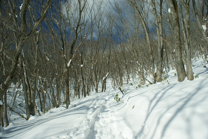 吾妻山（高湯から大根森まで） ～ ２０１５年１２月３１日_f0170180_16174916.jpg